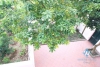 Beautiful house with nice garden for lease in Au co st, Tay Ho District